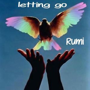 Meet your Posher, Ayesha